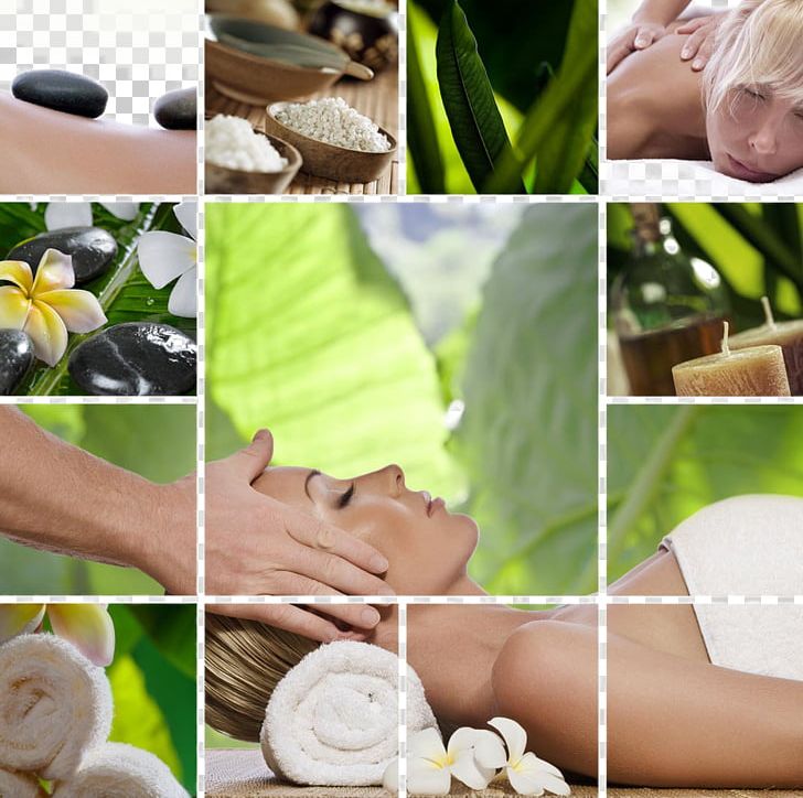 Day Spa Massage In LA Stone Massage PNG, Clipart, Body, Body Beauty, Flower, Leaves, Massage Free PNG Download