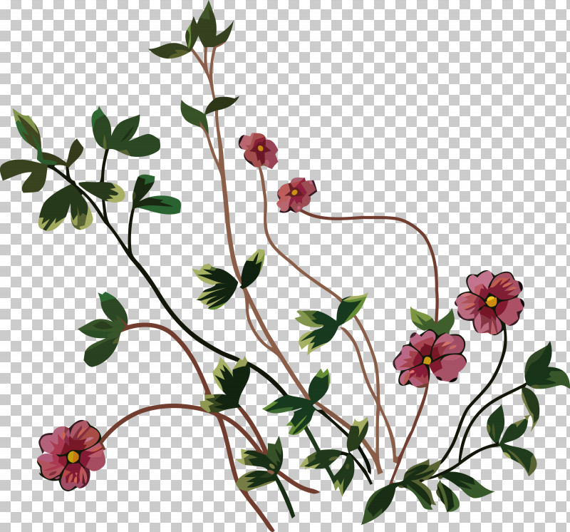 Floral Design PNG, Clipart, Annual Plant, Biology, Branching, Cut Flowers, Flora Free PNG Download