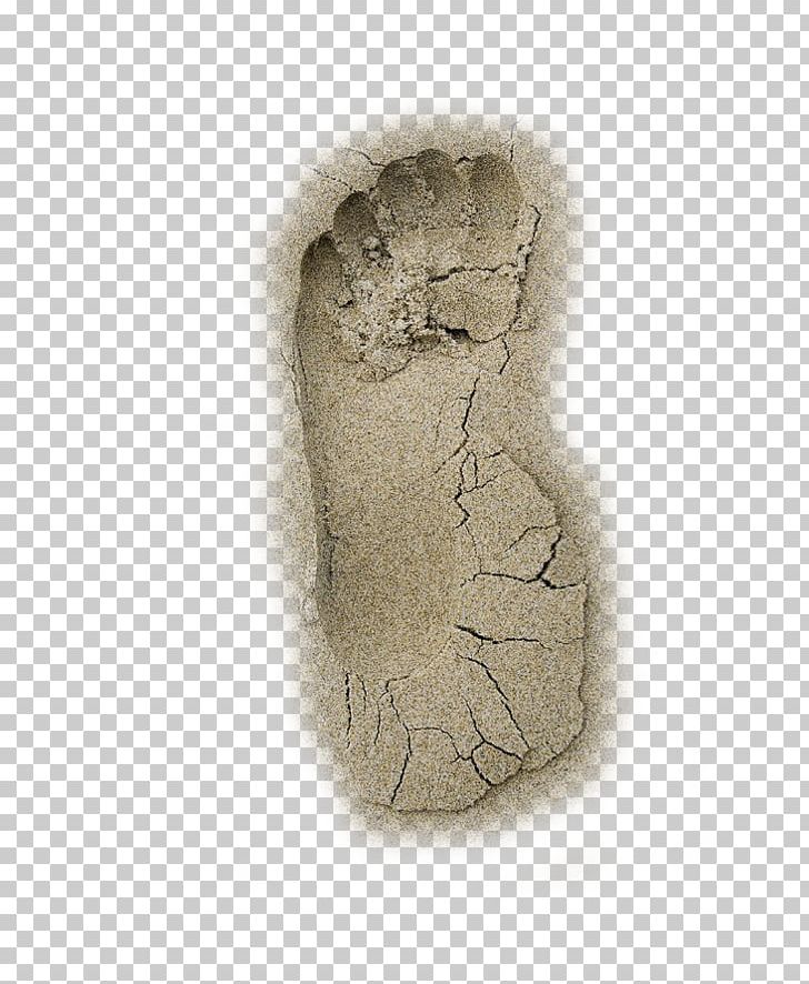 Beach Footprint Sand PNG, Clipart, Adobe Illustrator, Animal Track, Artifact, Beach, Beach Footprints Free PNG Download