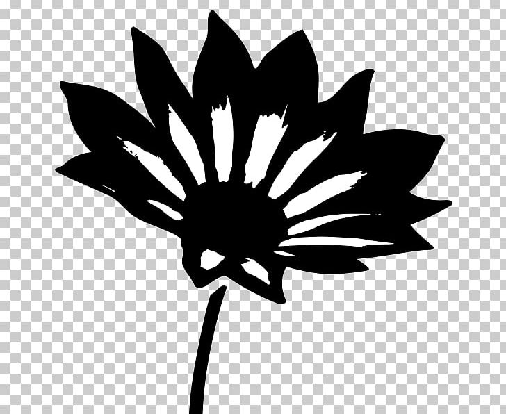 Gazania Rigens Plant PNG, Clipart, Apis, Application, Artwork, Black, Black And White Free PNG Download