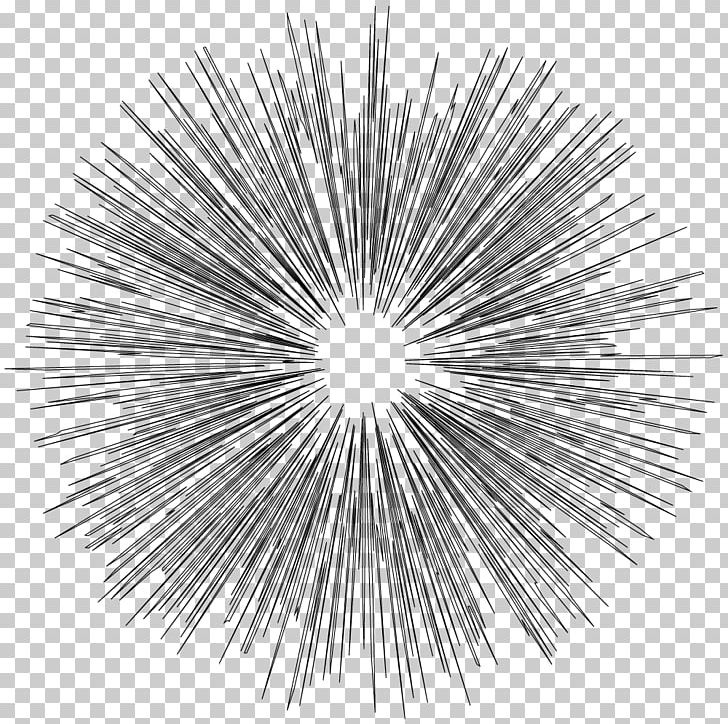 Line Symmetry Lighting PNG, Clipart, Art, Black And White, Circle, Lighting, Line Free PNG Download