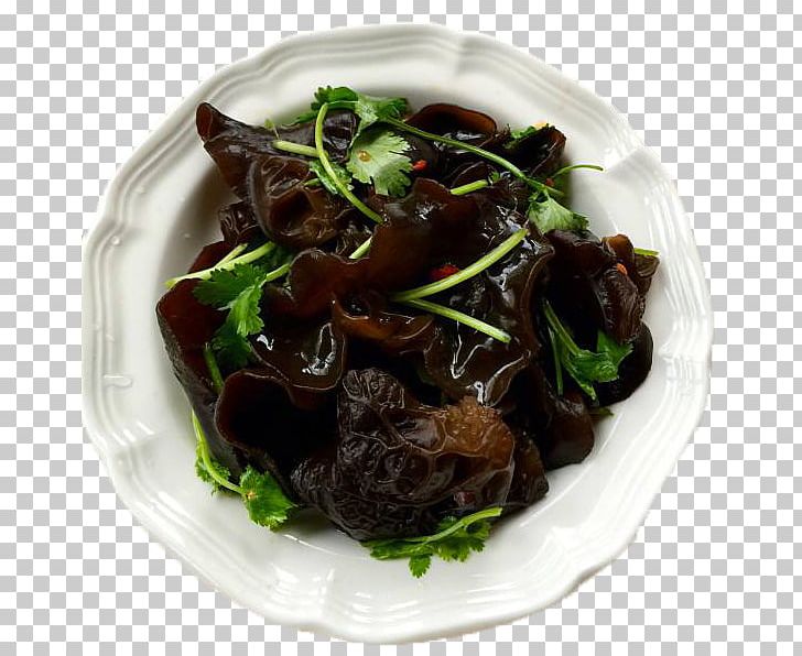 American Chinese Cuisine Daube Mashed Potato Parsley PNG, Clipart, Background Black, Black, Black Background, Black Board, Black Fungus Free PNG Download