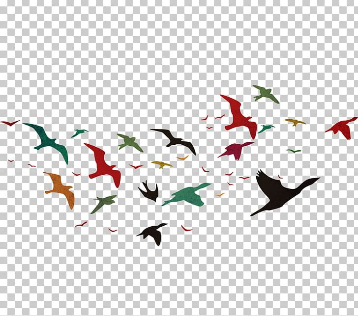 Bird Flight PhotoScape PNG, Clipart, Animal Migration, Animals, Ave, Beak, Bird Free PNG Download