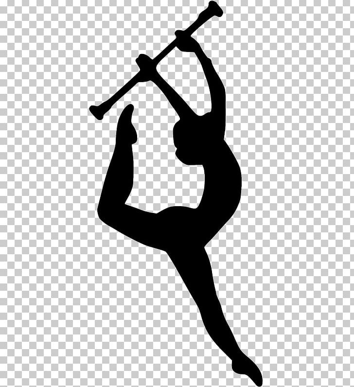 Color Guard Baton Twirling Colour Guard Winter Guard Marching Band PNG, Clipart, Animals, Area, Arm, Baton, Baton Twirling Free PNG Download