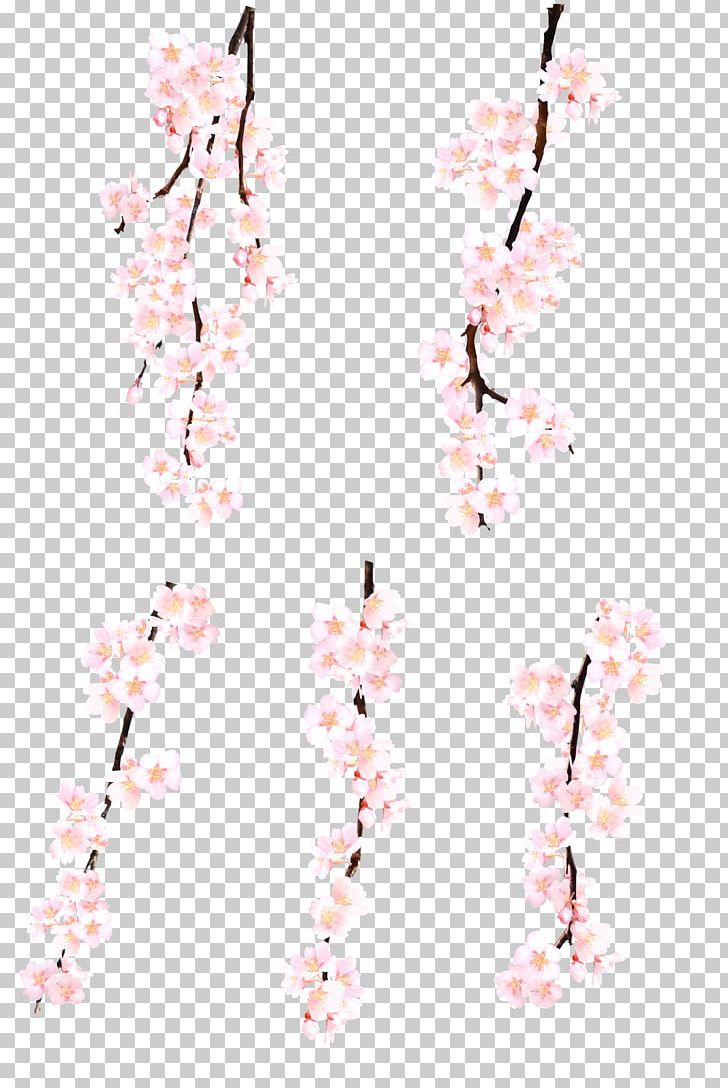 Japan Cherry Blossom Icon PNG, Clipart, Blossoms, Branch, Cherry, Clothing, Computer Icons Free PNG Download