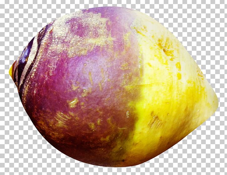 Rutabaga Radish PNG, Clipart, Brassica Napobrassica, Brassica Oleracea, Cabbage, Element, Food Free PNG Download