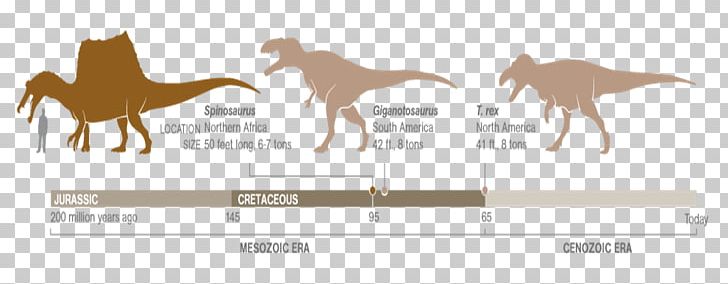 Tyrannosaurus Mustang Dinosaur Spinosaurus Giganotosaurus PNG, Clipart, Animal, Art, Brand, Carnivorous, Chart Free PNG Download