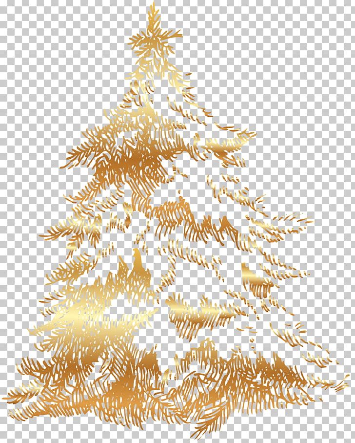 Christmas Tree Spruce Fir PNG, Clipart, Branch, Christmas, Christmas Decoration, Christmas Ornament, Conifer Free PNG Download