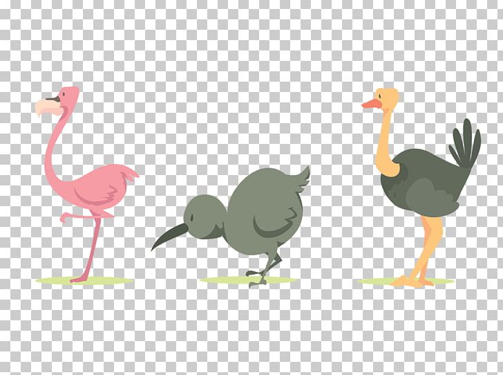 Common Ostrich Bird Cartoon PNG, Clipart, Animal, Balloon Cartoon, Beak, Birds, Boy Cartoon Free PNG Download
