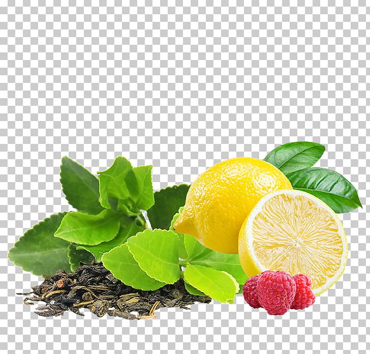 Green Tea Infuser Infusion Drink PNG, Clipart, Black Tea, Camellia Sinensis, Citric Acid, Citrus, Cucumber Free PNG Download