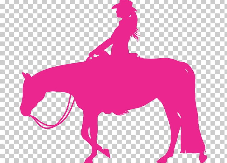 Horse Equestrianism Western Pleasure Hunt Seat PNG, Clipart, Decal, Fictional Character, Horse, Horse Like Mammal, Horse Show Free PNG Download