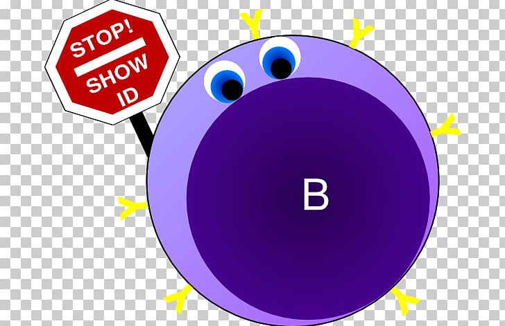 Memory B Cell Blood Cell PNG, Clipart, Antibody, Area, B Cell, Blood Cell, Brand Free PNG Download