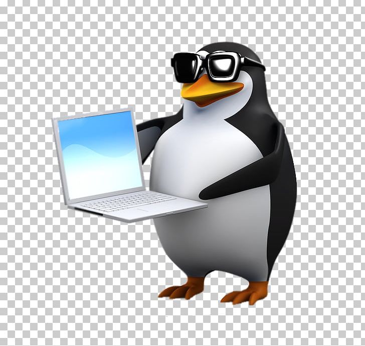 Penguin Stock Photography PNG, Clipart, 3d Computer Graphics, Animals, Beak, Bird, Can Stock Photo Free PNG Download