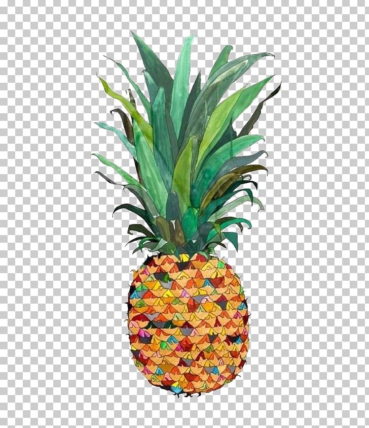 Pineapple Drawing Watercolor Painting Illustration PNG, Clipart, Ananas, Bromeliaceae, Color, Color Pencil, Colors Free PNG Download