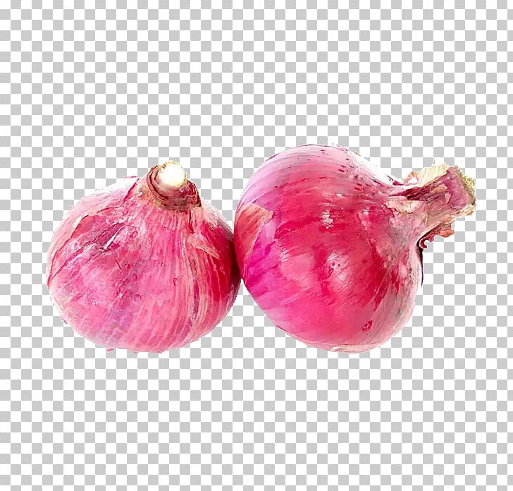 Shallot Red Onion Scallion Vegetable PNG, Clipart, Allium Fistulosum, Food, Fresh, Fresh Ingredients, Fresh Onions Free PNG Download