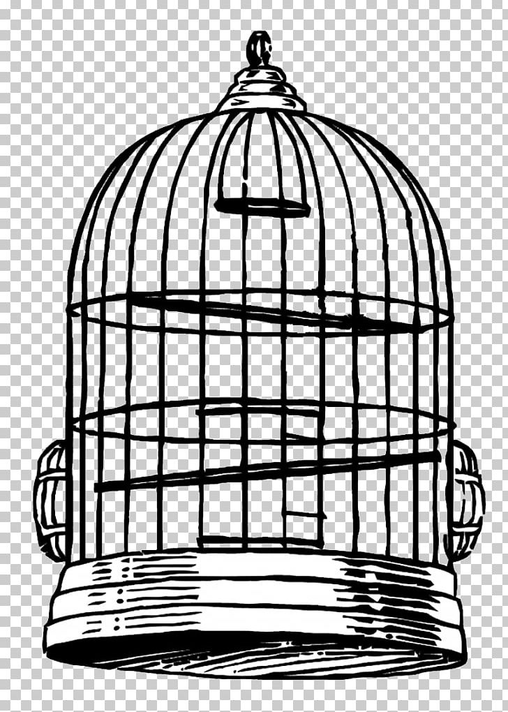 Birdcage Drawing PNG, Clipart, Animals, Bird, Birdcage, Black And White, Cage Free PNG Download