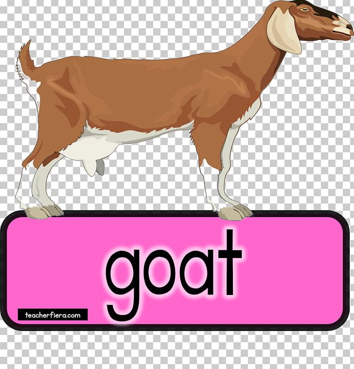 Goat Health Cattle Dog Breed Milk PNG, Clipart, Animals, Appreciate, Cattle, Cattle Dog, Cattle Like Mammal Free PNG Download