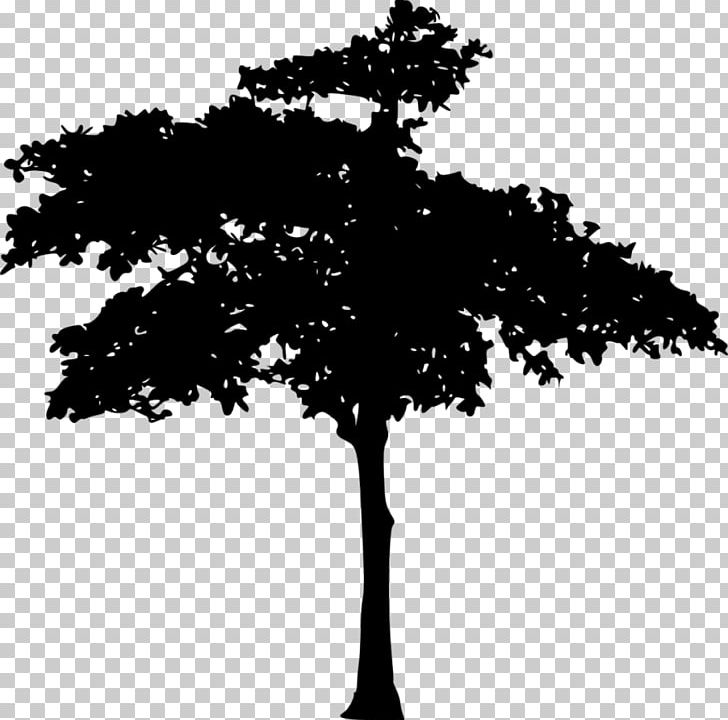 Silhouette Black And White PNG, Clipart, Animals, Austral Pacific Energy Png Limited, Black, Black And White, Branch Free PNG Download