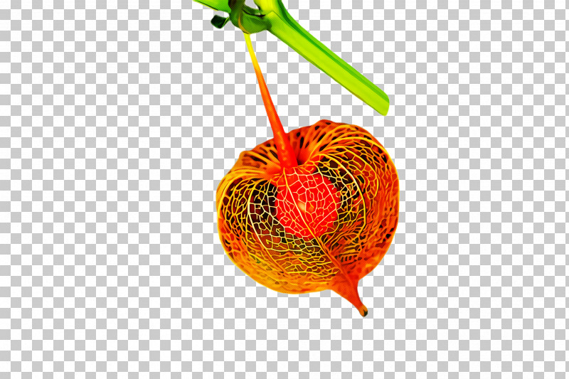 Orange PNG, Clipart, Accessory Fruit, Anthurium, Flower, Food, Fruit Free PNG Download