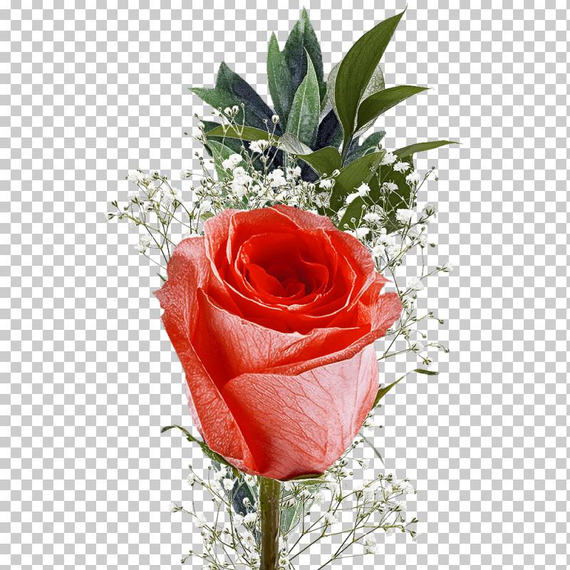 Garden Roses PNG, Clipart, Anthurium, Artificial Flower, Bouquet, Cut Flowers, Floral Design Free PNG Download