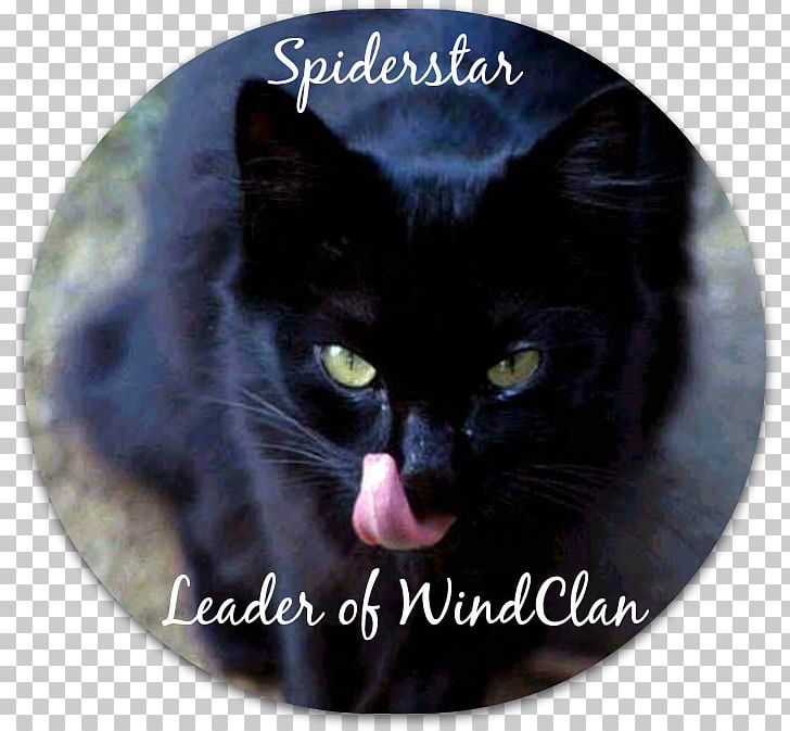 Black Cat Domestic Short-haired Cat Whiskers Mumbai PNG, Clipart, Black, Black Cat, Bombay, Cat, Cat Like Mammal Free PNG Download