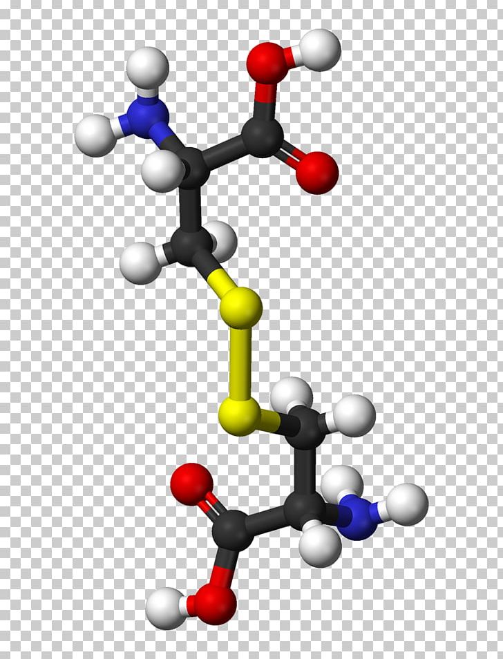Cystine Cysteine Disulfide SLC7A11 Amino Acid PNG, Clipart, Acid, Amino Acid, Amino Acids, Body Jewelry, Cell Free PNG Download