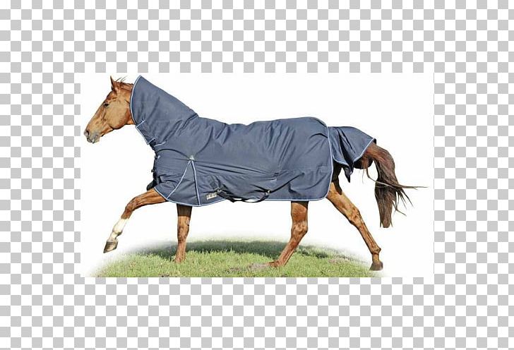 Horse Blanket Pony Equestrian PNG, Clipart, Animals, Blanket, Equestrian, Horse, Horse Blanket Free PNG Download