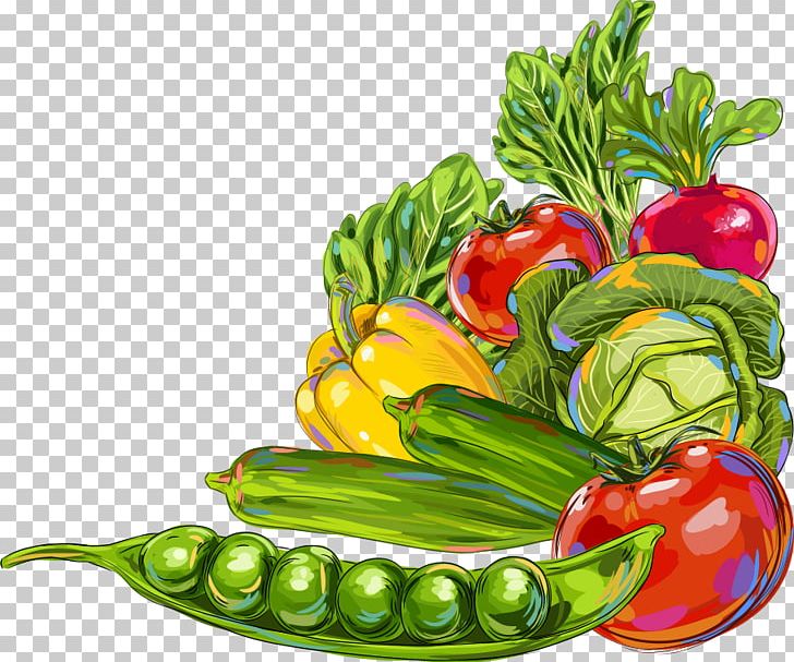 Vegetable Okra Fruit Illustration PNG, Clipart, Bell Peppers And Chili Peppers, Cartoon, Cayenne Pepper, Food, Happy Birthday Vector Images Free PNG Download