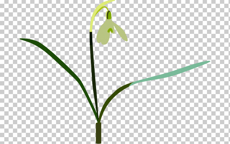 Flower Plant Snowdrop Summer Snowflake Plant Stem PNG, Clipart, Amaryllis Family, Flower, Galanthus, Pedicel, Plant Free PNG Download