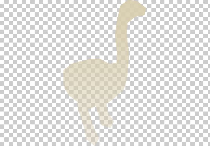 Common Ostrich Camel Terrestrial Animal Neck Mammal PNG, Clipart, Administrator, Advertising, Animal, Animals, Camel Free PNG Download