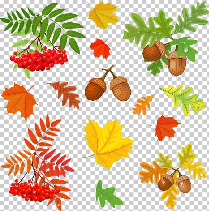 Drawing Photography PNG, Clipart, Art, Artwork, Autumn Leaves, Branch, Download Free PNG Download