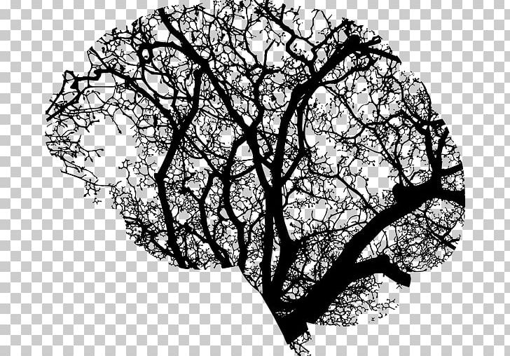 Human Brain Tree Brain Injury PNG, Clipart, Bark, Black And White, Brain, Brain Damage, Brain Injury Free PNG Download
