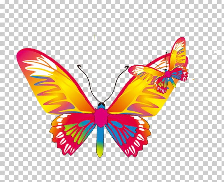Monarch Butterfly PNG, Clipart, Away, Balloon Cartoon, Boy Cartoon, Brush Footed Butterfly, Butterfly Free PNG Download
