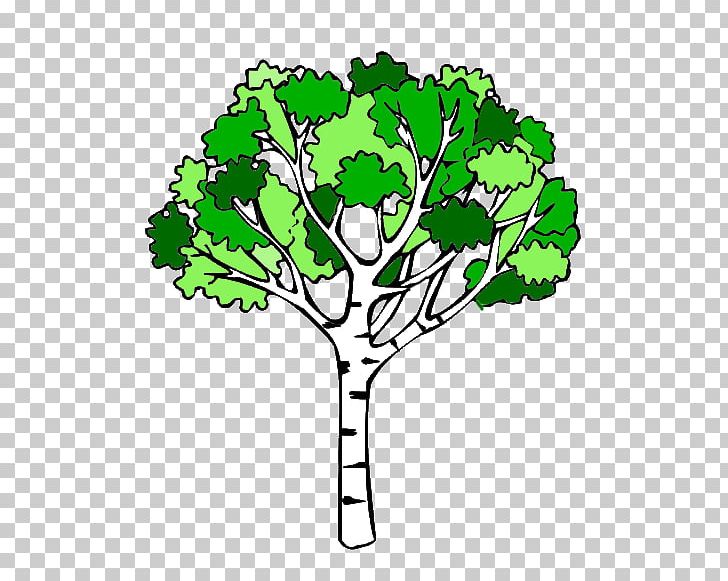 Portable Network Graphics Birch Drawing Illustration PNG, Clipart, Arama, Arbre, Artwork, Bark, Birch Free PNG Download