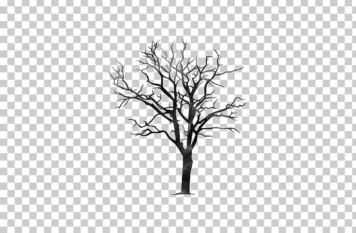 Twig Tree Branch Trunk Pine PNG, Clipart, Pine Tree, Tree Branch, Trunk, Twig Free PNG Download