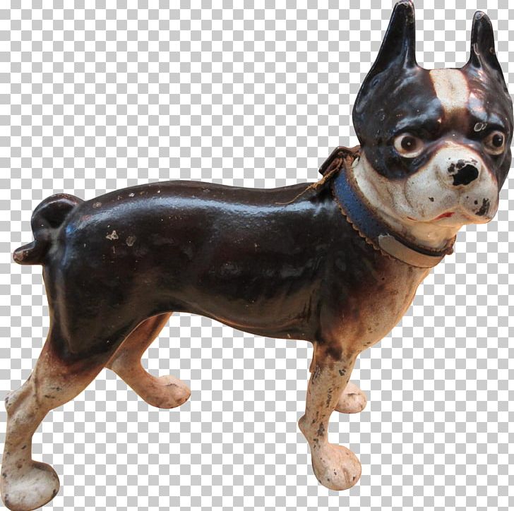 Boston Terrier French Bulldog Dog Breed Companion Dog PNG, Clipart, Boston, Boston Terrier, Breed, Bulldog, Carnivoran Free PNG Download