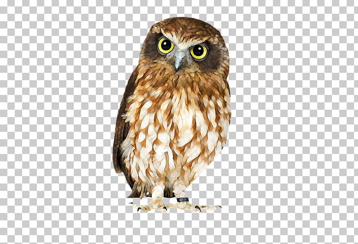 Brown Hawk-owl Bird Barn Owl PNG, Clipart, Animals, Barn Owl, Beak, Bird, Bird Of Prey Free PNG Download