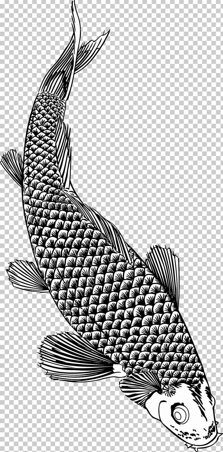 Fish Brush Monochrome Seafood PNG, Clipart, Animals, Black And White, Brush, Catfish, Fauna Free PNG Download