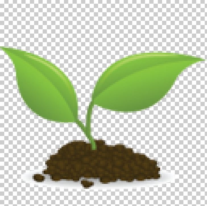 Seedling Sprouting PNG, Clipart, Baza, Clip Art, Computer Icons, Document, Donation Free PNG Download