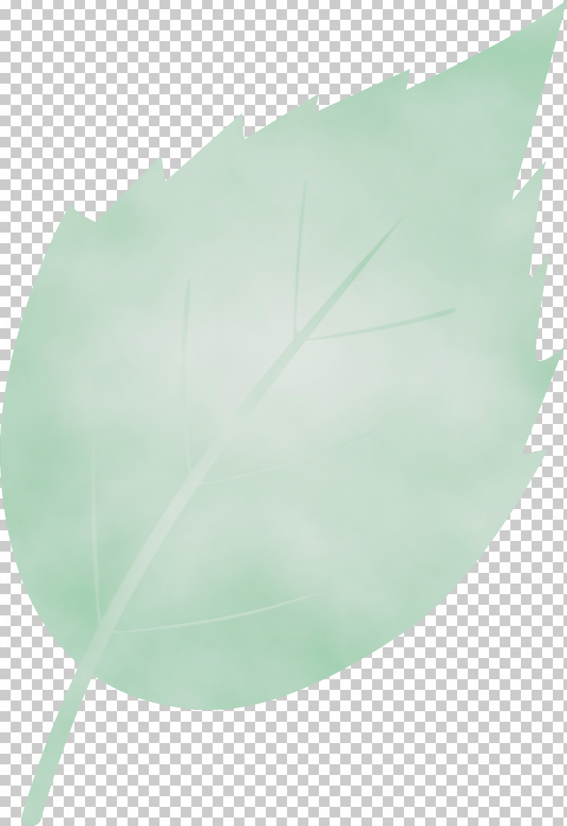 Feather PNG, Clipart, Aqua, Feather, Green, Leaf, Paint Free PNG Download
