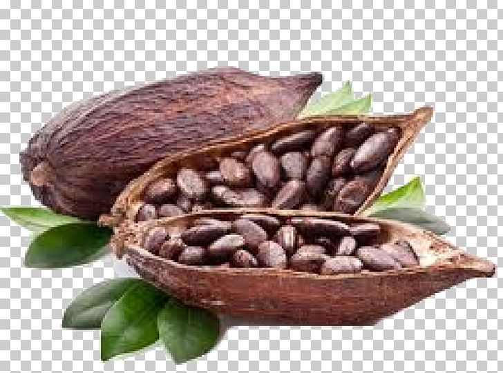 Cocoa Bean Cocoa Solids Hot Chocolate Cappuccino PNG, Clipart, Bean, Black Beans, Chocolate, Cocoa Bean, Cocoa Butter Free PNG Download