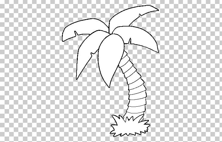 Coloring Book Colouring Pages Palm Trees Date Palm PNG, Clipart, Angle, Art, Artwork, Beak, Branch Free PNG Download