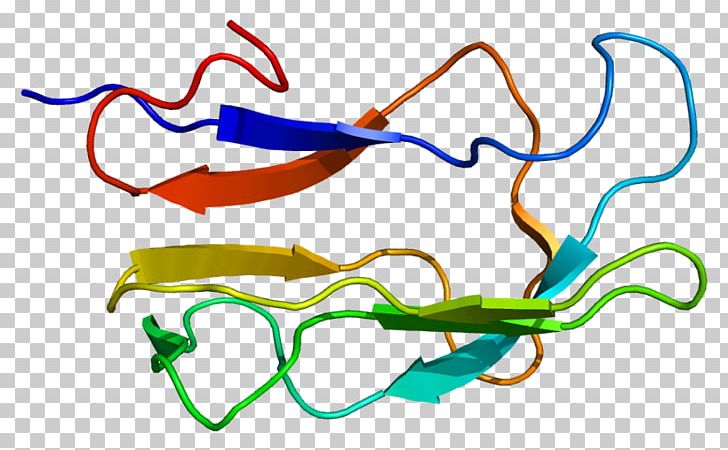DBT Gene Expression Branched-chain Alpha-keto Acid Dehydrogenase Complex Protein PNG, Clipart, 1 K, Acyltransferase, Area, Artwork, Branchedchain Amino Acid Free PNG Download