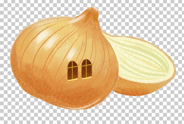 Pumpkin Calabaza Onion Vegetable PNG, Clipart, Bal, Boy Cartoon, Cartoon Character, Cartoon Cloud, Cartoon Couple Free PNG Download