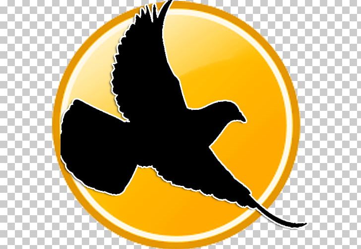 Racing Homer Columbidae Bird Pigeon Racing Pigeon Post PNG, Clipart, Animals, Beak, Bird, Breed, Columbidae Free PNG Download