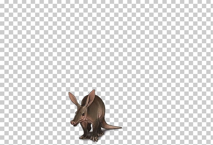 Domestic Rabbit Rat Macropods Fauna Rabbit PNG, Clipart, Animal, Animals, Domestic Rabbit, Fauna, Hare Free PNG Download