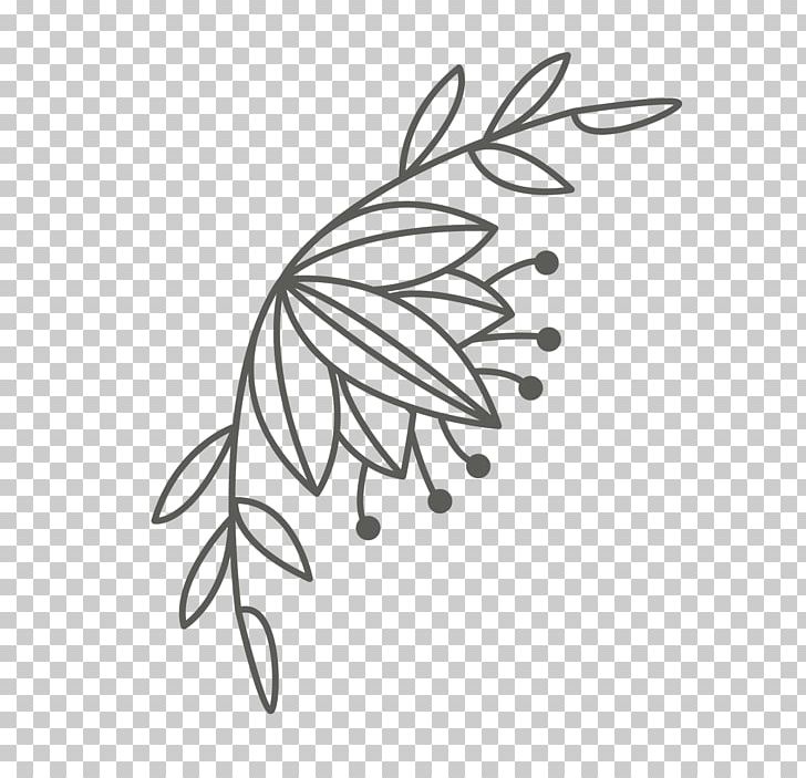 Flowering Plant Plants Plant Stem Lovebird PNG, Clipart, Area, Black And White, Branch, Drawing, Flora Free PNG Download