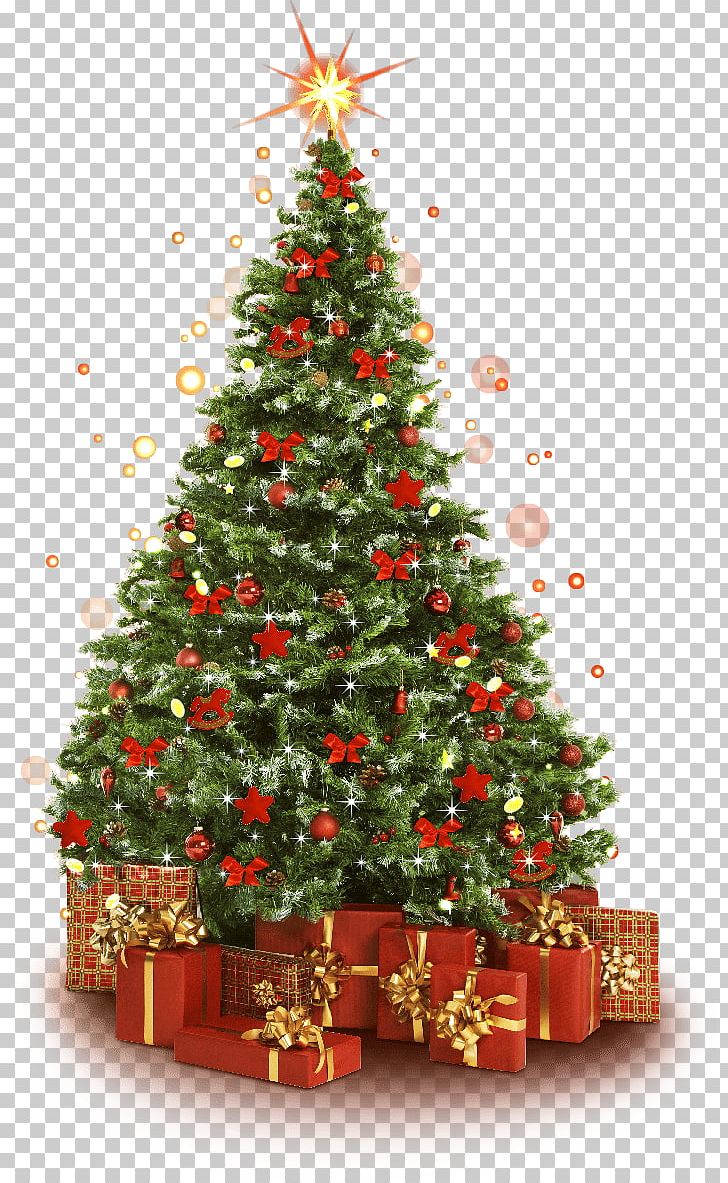 Christmas Tree Christmas Ornament Christmas Decoration PNG, Clipart, Christmas, Christmas Decoration, Christmas Ornament, Christmas Tree, Concept Free PNG Download