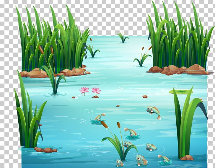 Graphics Stock Illustration Pond PNG, Clipart, Aquarium Decor, Aquatic Plant, Computer Wallpaper, Ecosystem, Grass Free PNG Download