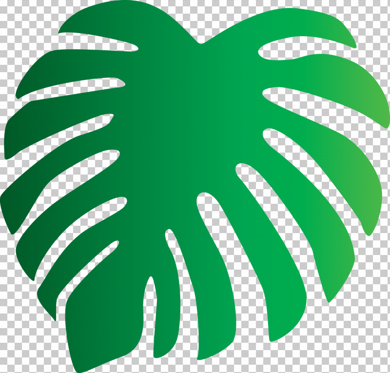 Monstera Tropical Leaf PNG, Clipart, Biology, Geometry, Green, Leaf, Line Free PNG Download